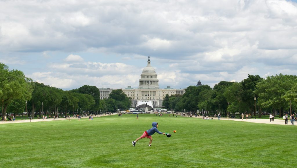 National Mall lawn with US Capitol in Washington DC