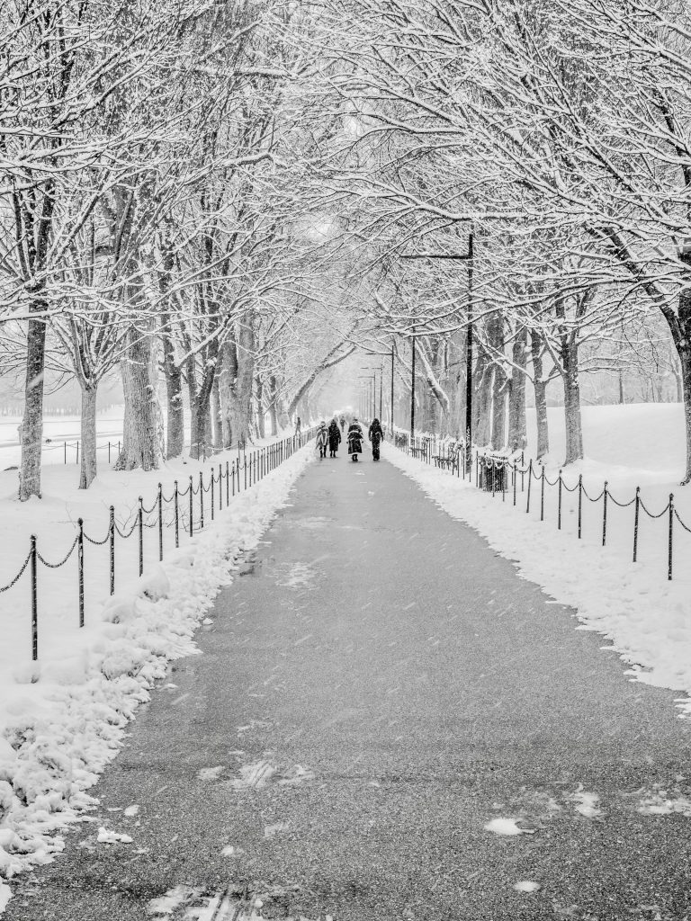 Snow-covered walkway with trees in winter Washington DC